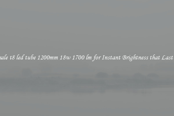 Wholesale t8 led tube 1200mm 18w 1700 lm for Instant Brightness that Last Longer