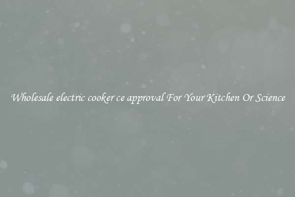 Wholesale electric cooker ce approval For Your Kitchen Or Science