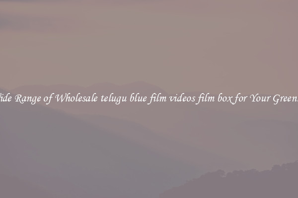 A Wide Range of Wholesale telugu blue film videos film box for Your Greenhouse
