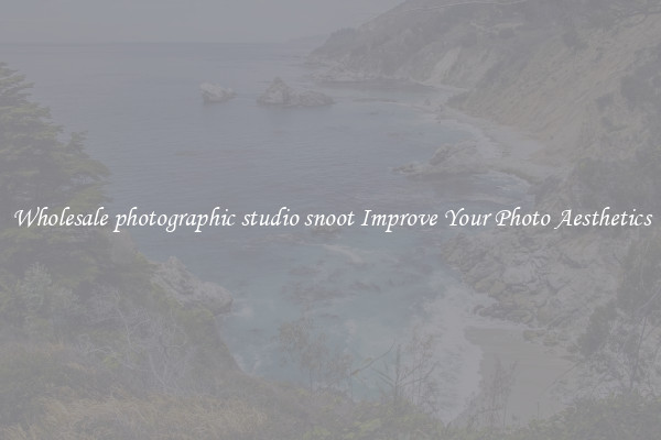 Wholesale photographic studio snoot Improve Your Photo Aesthetics