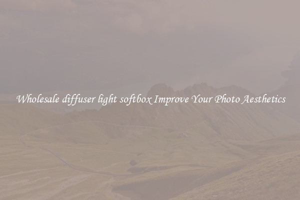 Wholesale diffuser light softbox Improve Your Photo Aesthetics
