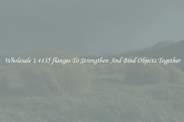 Wholesale 1.4435 flanges To Strengthen And Bind Objects Together
