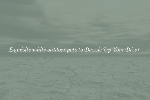 Exquisite white outdoor pots to Dazzle Up Your Décor  