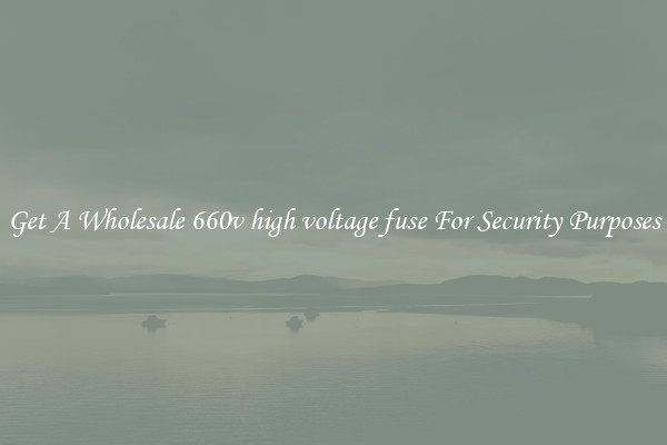 Get A Wholesale 660v high voltage fuse For Security Purposes