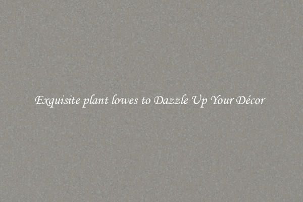 Exquisite plant lowes to Dazzle Up Your Décor  