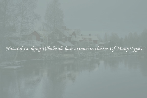 Natural Looking Wholesale hair extension classes Of Many Types