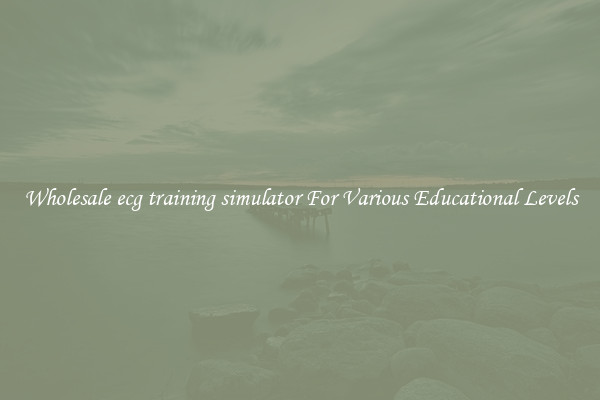 Wholesale ecg training simulator For Various Educational Levels