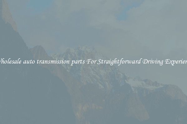 Wholesale auto transmission parts For Straightforward Driving Experience