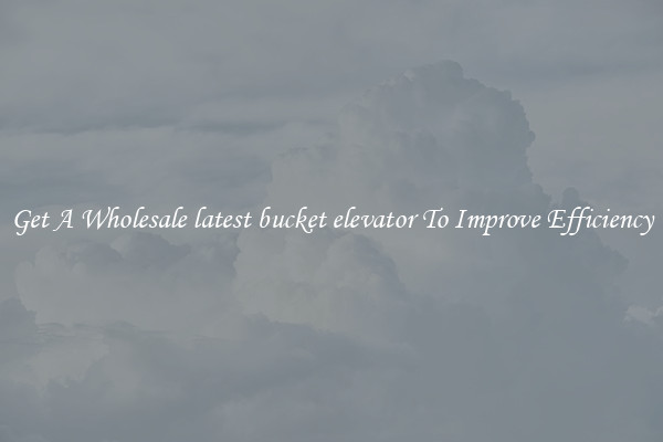 Get A Wholesale latest bucket elevator To Improve Efficiency