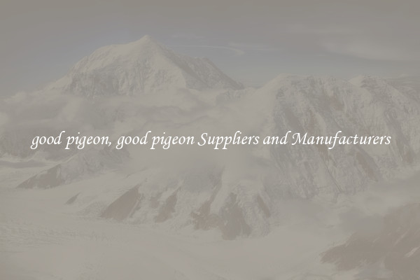 good pigeon, good pigeon Suppliers and Manufacturers