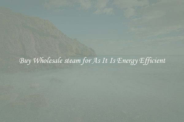 Buy Wholesale steam for As It Is Energy Efficient