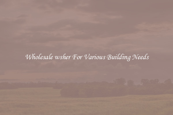 Wholesale wsher For Various Building Needs