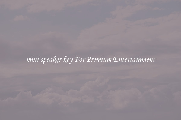 mini speaker key For Premium Entertainment