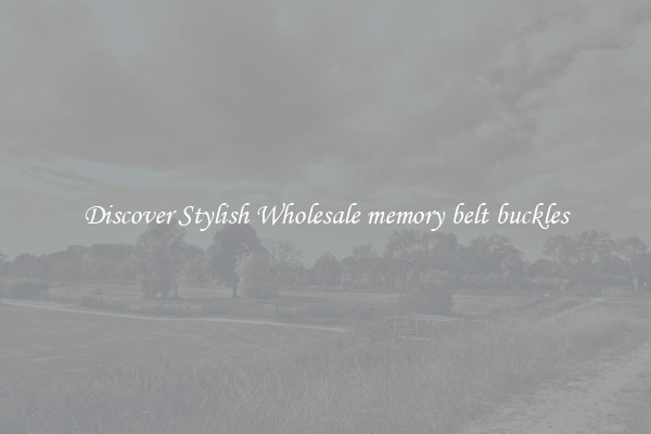 Discover Stylish Wholesale memory belt buckles