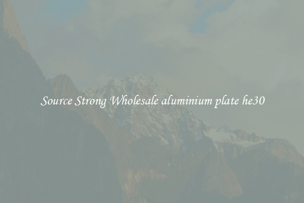 Source Strong Wholesale aluminium plate he30