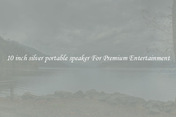 10 inch silver portable speaker For Premium Entertainment
