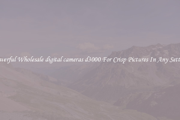 Powerful Wholesale digital cameras d3000 For Crisp Pictures In Any Setting
