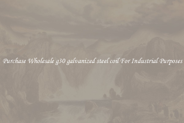 Purchase Wholesale g30 galvanized steel coil For Industrial Purposes