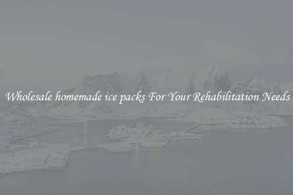 Wholesale homemade ice packs For Your Rehabilitation Needs