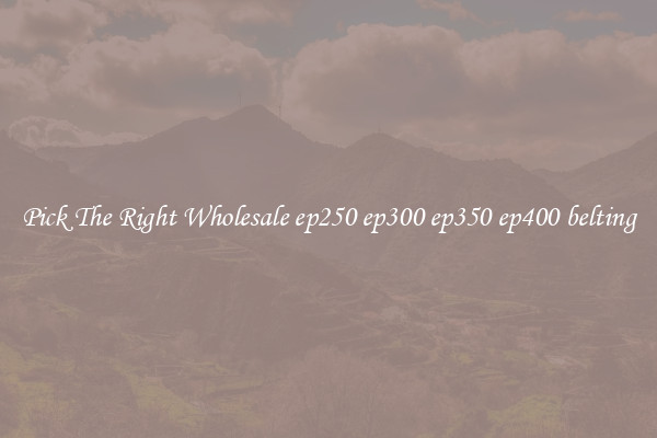Pick The Right Wholesale ep250 ep300 ep350 ep400 belting