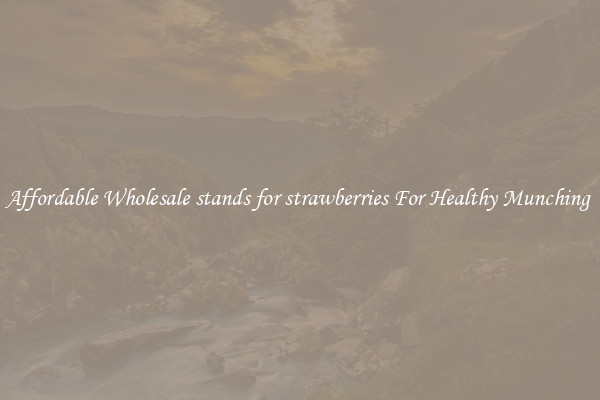 Affordable Wholesale stands for strawberries For Healthy Munching 