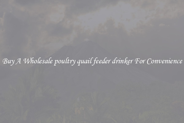 Buy A Wholesale poultry quail feeder drinker For Convenience